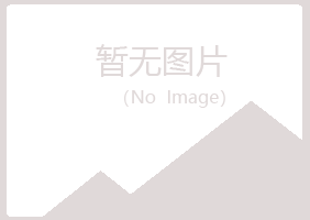 琼山区岑迷造纸有限公司